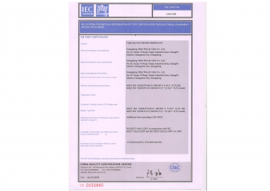 用于相互識別埃及設(shè)備的測試證書（IECEE）cB方案