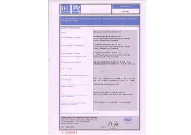 用于電氣設(shè)備測試證書（IECEE）相互識別的IEC系統(tǒng)cB方案